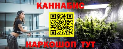 винт Бердск