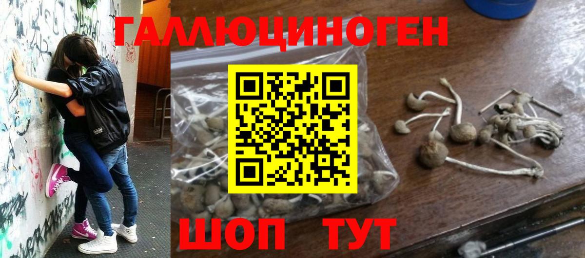 Псилоцибиновые грибы MAGIC MUSHROOMS Санкт-Петербург